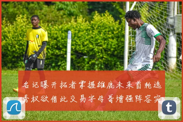 名记曝开拓者掌握雄鹿未来首轮选秀权欲借此交易字母哥增强阵容实力