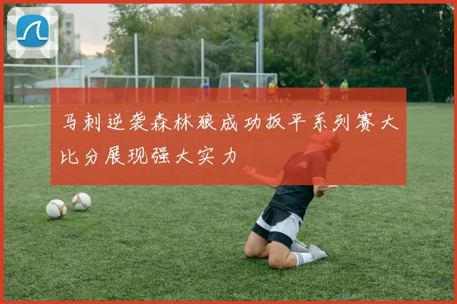 马刺逆袭森林狼成功扳平系列赛大比分展现强大实力