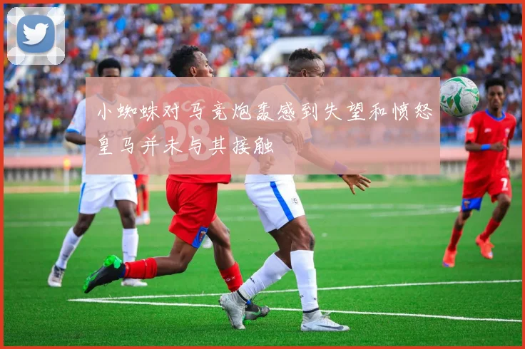 小蜘蛛对马竞炮轰感到失望和愤怒皇马并未与其接触
